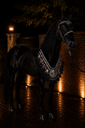 طقم خيل فاخر (صدرية + رأسية) – تصميم ملكي عربي